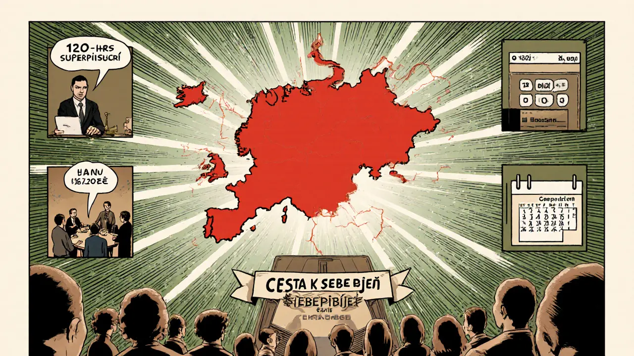 Mapa Evropy s ČR zvýrazněnou, ikony terapie, aplikace a skupinová podpora, připravená na 2025.