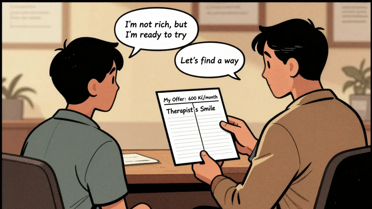 Jak se domluvit na splátkách psychoterapie: Praktické tipy pro soukromé terapeuty